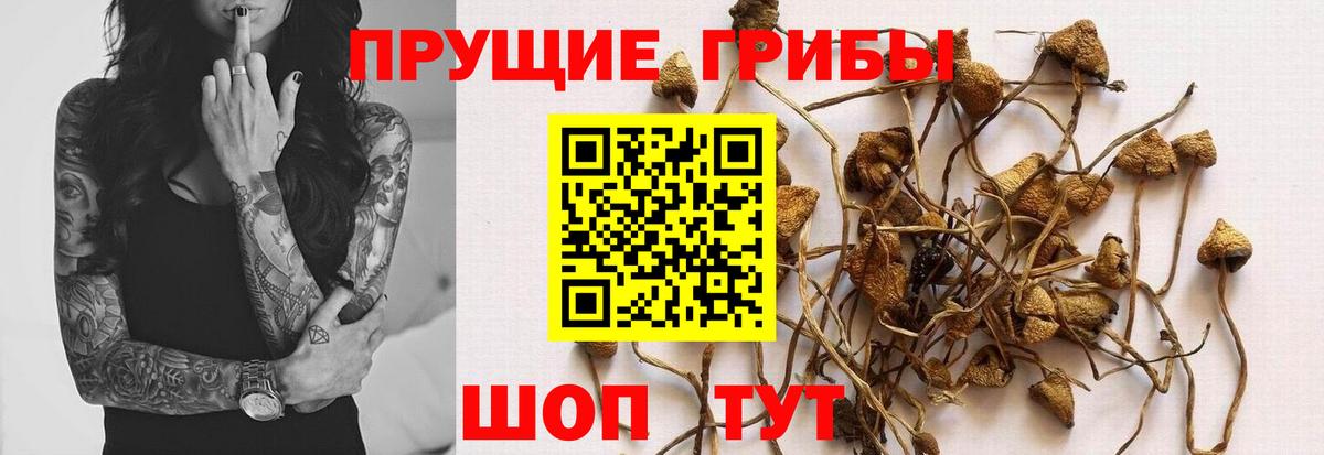 Псилоцибиновые грибы мухоморы  Галлюциногенные грибы Psilocybe  Вход с VPN  Янаул 