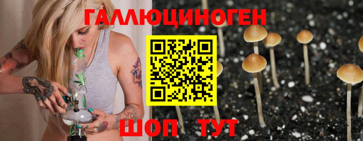 Галлюциногенные грибы прущие грибы Янаул